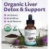 USDA Organic Milk Thistle Tincture, High Potency 10:1 Silymarin Milk Thistle Extract Liver Cleanse Detox & Repair Supplement, Pure Co, 30 servings - 4 of 4