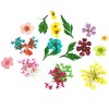 Wrapables Real Dry Flowers Nail Art 3d Flower Nail Decals Nail Manicure with Plastic Case (Set of 12), Posies - 3 of 4