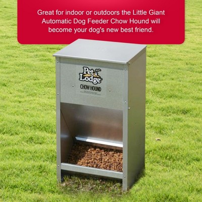 Pet Lodge Galvanized Steel Automatic Dog Feeder, 25 lb Capacity