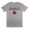 NCAA Louisville Cardinals Toddler Boys' 2pk T-Shirt - 2 of 3