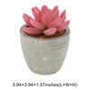 Unique Bargains Artificial Plants Mini Pulp with Graptopetalum Plastic Green 2.76"x2.76"x3.15" 1 Pc - 3 of 4