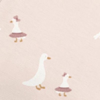 tutu goose