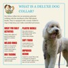 Country Brook Petz Deluxe Dog Collar - Groovy Collection - 4 of 4