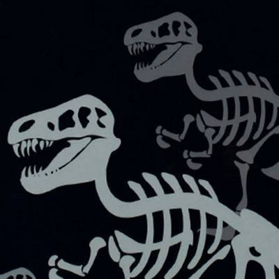 Dino Bones