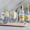 Fever Tree Tonic Water - Premium Quality Mixer - Refreshing Beverage for Cocktails & Mocktails 200ml Bottles - image 2 of 4