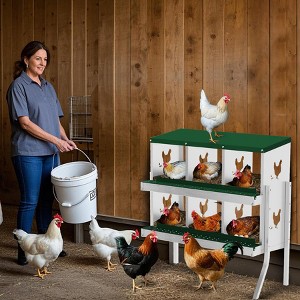 Chicken Nesting Box, Easy Egg Collection, Easy Cleaning, Chicken Laying Boxes for Hens - 1 of 4
