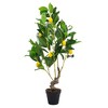 Gulches 12x12x31.5'' Artificial PEVA Lemon Tree - Lifelike Greenery with Black Plastic Cement-Filled Pot, Mediterranean Charm - 3 of 4
