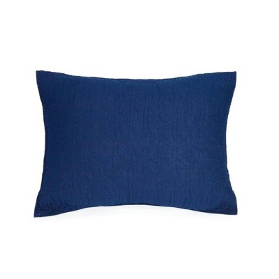 Navy Blue Cotton Twin Airplane Quilt Set with Decorative Pillows