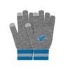 NFL Detroit Lions Gray Big Logo Glove - 3 of 4