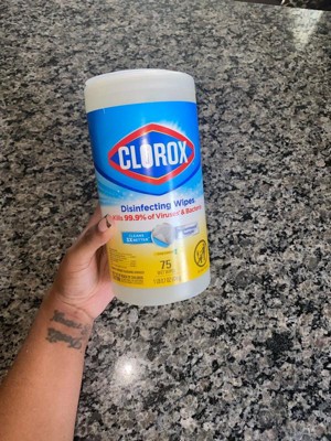 Guest review image 1 of 1, zoom in