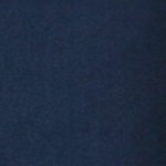 navy fluorescent yellow trim