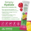 Swanson Simply Hydrate Electrolyte Hydration Mix - Raspberry Lemonade, 30 Stick Packs - 3 of 3