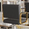 Hydraulic Artificial Leather 360¡ã Swivel Salon Chair with Pump, Footrest, Non-Tilting Hairdressing Chair for Hair Salons, Tattoo & Beauty Spa - 2 of 4