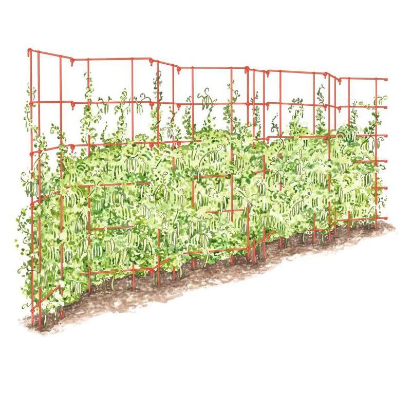 Expandable Pea Trellis, 9'-8" L x 37" H Installed Steel Trellises for Garden Plants Support, 1 of 5