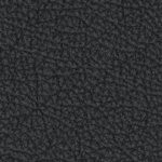 army academy black knights