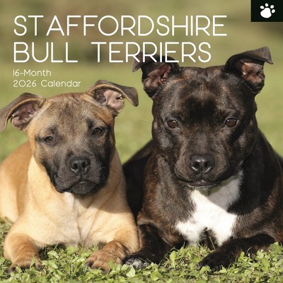 2026 Square Wall Calendar, Staffordshire Bull Terriers, 16-Month Animals Theme with 180 Reminder Stickers (12x12 In)