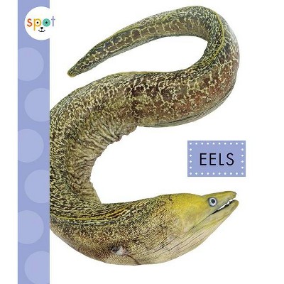 Eels - (Spot Ocean Animals) by  Mari C Schuh (Paperback)