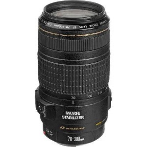 Canon 70-300mm f/4-5.6 EF IS USM Lens - 1 of 4