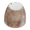 Syemin Planters Resin Textured Planters with Outdoor and Indoor, Vegetables and Herbs, Garden Decor, Brown 27"*27"*24" - 4 of 4