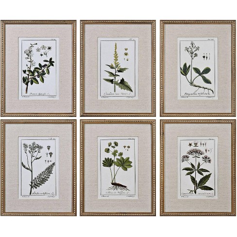 Uttermost Green Floral Botanical Study 6-piece 22 3/4