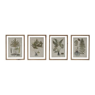 Set of 4 Green and Cream Botanical Prints with Natural Wood Frames