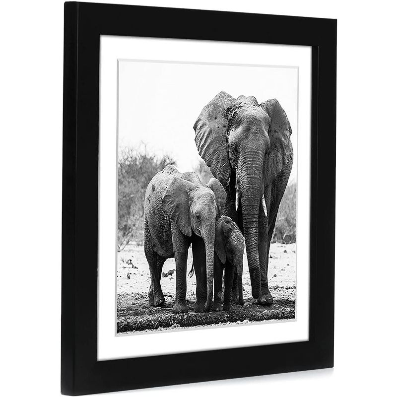 Americanflat Picture Frame with tempered shatter-resistant glass - Available in a variety of sizes and styles, 2 of 5