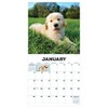 TF Publishing 2025 Wall Calendar 12"x12" Puppies - 2 of 4