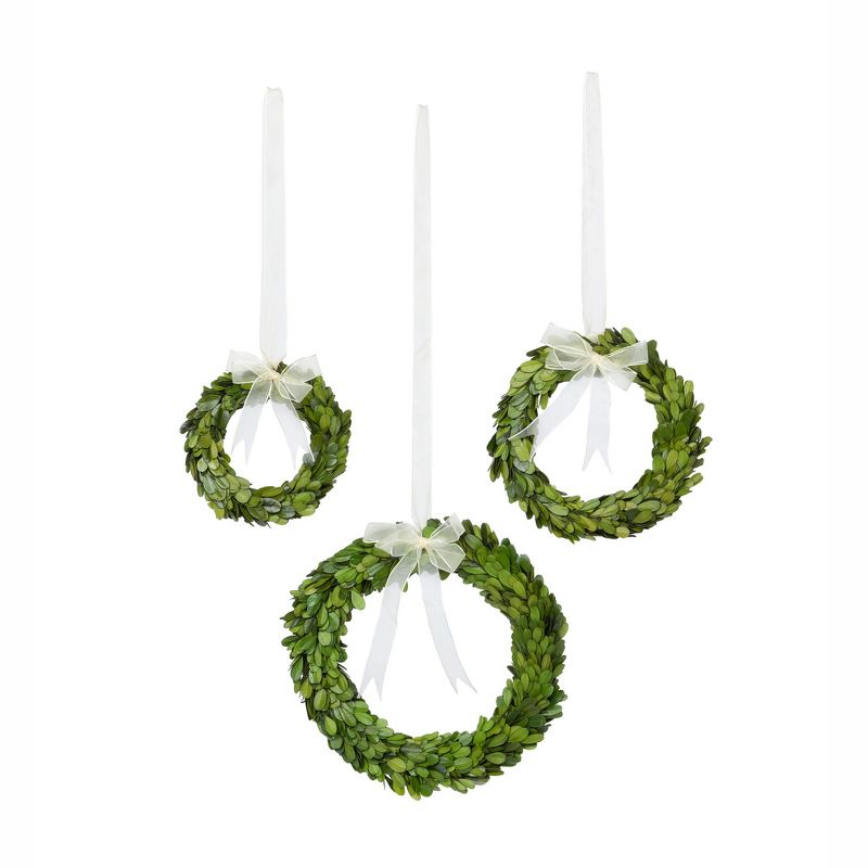 Park Hill Collection Preserved Boxwood Wreaths with Ivory Ribbon, 1 of 5