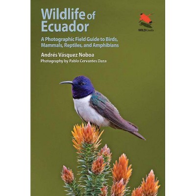 Wildlife of Ecuador - (Wildlife Explorer Guides) by  Andrés Vásquez Noboa (Paperback)