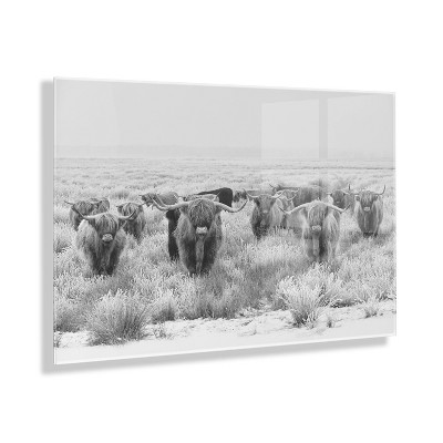 23" x 31" Herd of Highland Cows BW by The Creative Bunch Studio Floating Acrylic Unframed Wall Canvas - Kate & Laurel All Things Decor