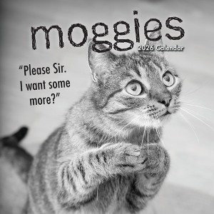 2026 Square Wall Calendar, Moggies, 16-Month Humor Theme with 180 Reminder Stickers (12x12 In) - 1 of 4