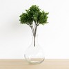 Boxwood Foliage Bush (Set of 6) - 2 of 3