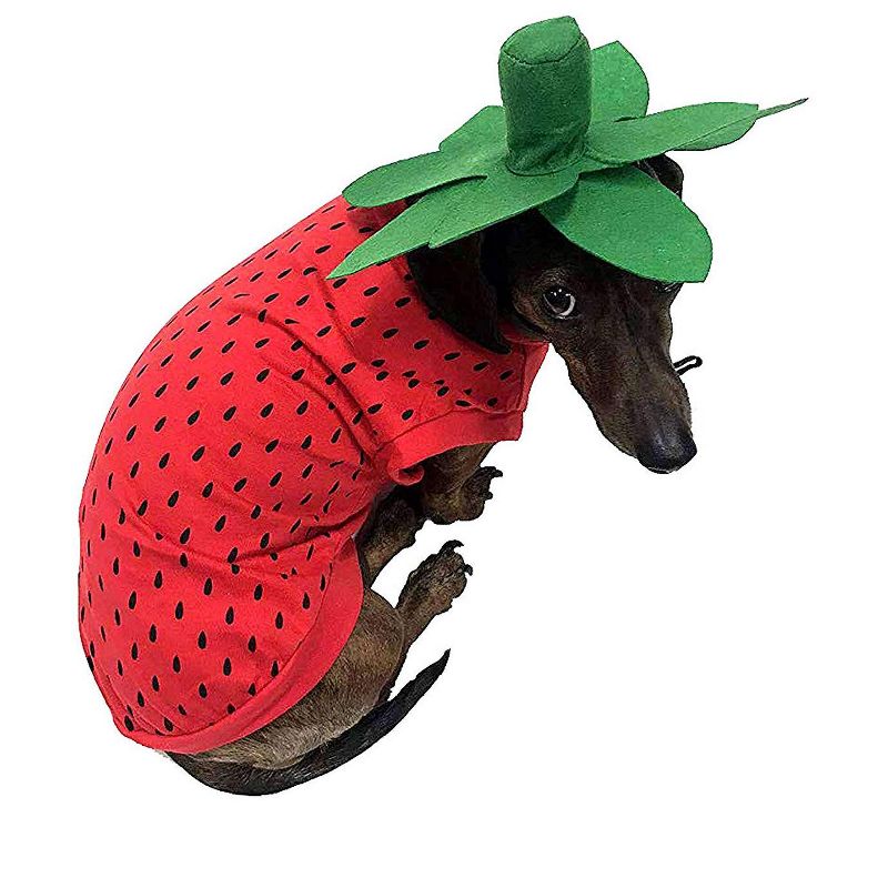 Midlee Strawberry Dog Costume, 1 of 9