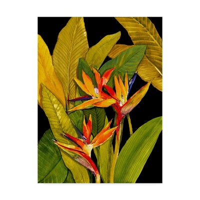 Large Multicolor Canvas Art with Bird of Paradise