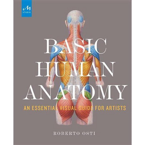 Basic Human Anatomy By Roberto Osti Hardcover Target