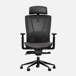 Autonomous ErgoChair Pro Office Chair Lumbar Support - Foam - 1 of 4