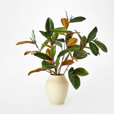 15 Variegated Ficus Artificial Plant - Threshold™ Designed With Studio  Mcgee : Target