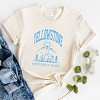 Simply Sage Market Yellowstone National Park Mountain Short Sleeve Tee - XS - Cream - 3 of 4