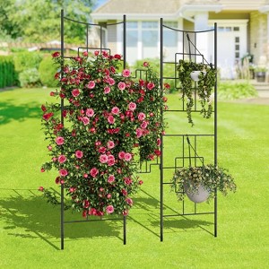 Elegant Baroque Iron Trellis for Climbing Plants, 1.6FT Tall Rustproof Garden Support for Roses, Vegetables, and Indoor Potted Plants - 1 of 4