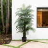 Nearly Natural 9-ft UV Resistant Artificial Areca Palm Tree (Indoor/Outdoor) - 4 of 4