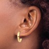 Black Bow Jewelry 3.5mm x 17mm Polished 14k Yellow Gold Domed J-Hoop Earrings - 3 of 4