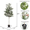 poetree 6FT Tall Olive Trees Artificial Indoor, Olive Tree Plants, Faux Olive Tree with Realistic Trunk, Leaves, Fruits,flower pot for Home Decor - 4 of 4