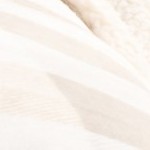 soft taupe / pale grey buffalo check