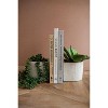 Decorative White Concrete Bookend Pots – 2x Set of 4 - 4" Tall by Kalalou - 2 of 4