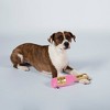 PetShop by Fringe Studio Brut Rose Champagne Dog Toy - Pink - 3 of 3