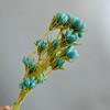Alilang Decorative Dried Flower Stems for Home Decoration and Floral Arrangements, 15.5 Inches - 2 of 3