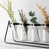 Sullivans Four Glass Bottle Vase Stand 6.25"H Black - 3 of 4