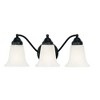 Capital Lighting Brady 3 - Light Vanity in  Matte Black - 4 of 4
