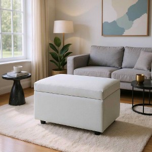 MAYEERTY Multi-Functional Storage Stool, Seating & Storage in One, Living Room Entryway - 1 of 4