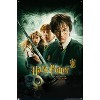 Trends International Harry Potter - International One Sheet Unframed Wall Poster Prints - 4 of 4